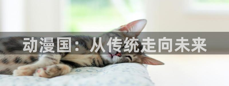 omo fun动漫官网：动漫国：从传统走向未来