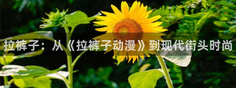 omo fun：拉裤子：从《拉裤子动漫》到现代街头时尚