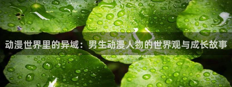 omofun动漫免费观看官网：动漫世界里的异域：男生动漫人物的世界观与成长故事